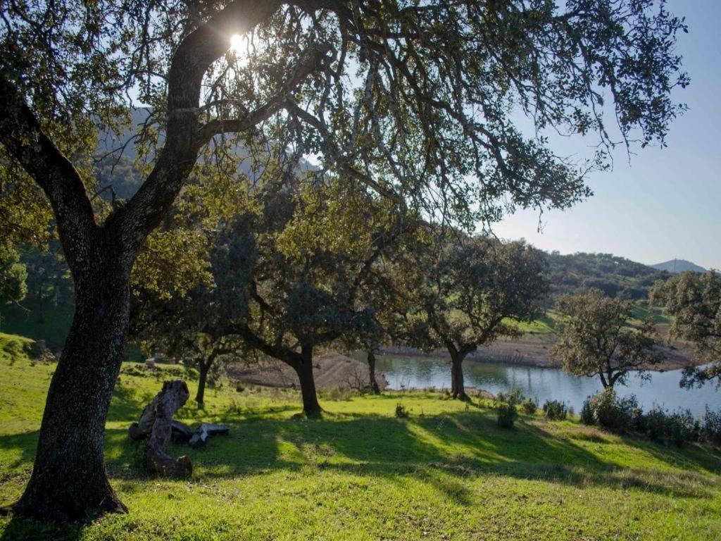 La Vicaria Palomar Holiday home *